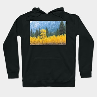 Golden Trees Hoodie